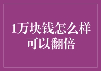 一万块钱如何在一年内翻倍：策略与方法