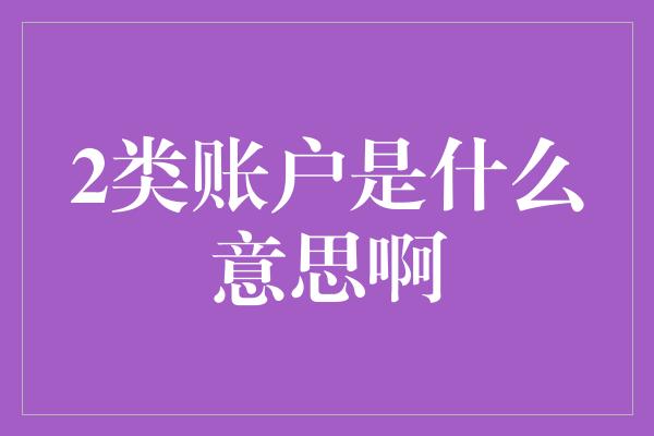 2类账户是什么意思啊