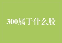 300股票究竟为何种？