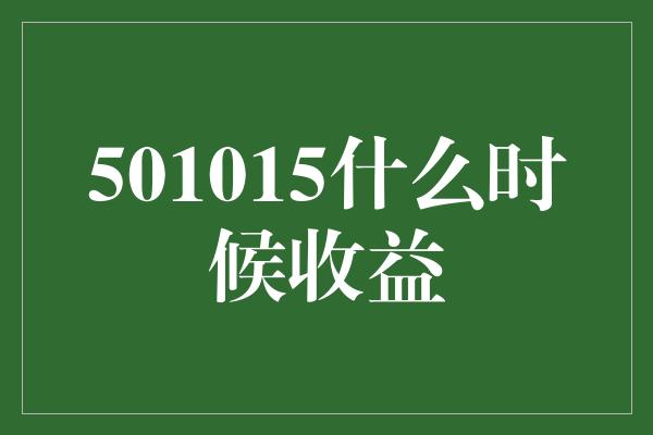 501015什么时候收益