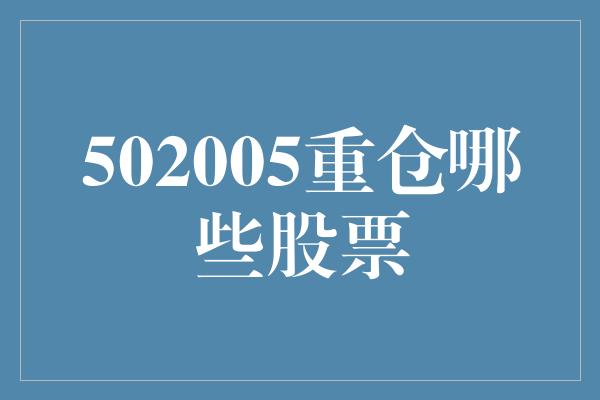 502005重仓哪些股票