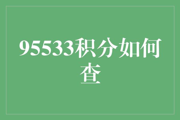 95533积分如何查