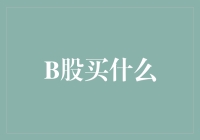 B股投资：从新手到高手的进阶之路