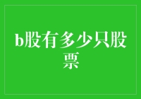 揭秘B股市场：到底有哪些股票在交易？