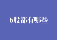 从A股到H股：全面解析全球主要股市中的B股市场