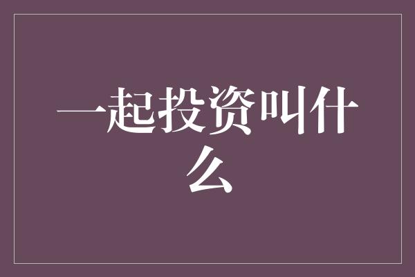 一起投资叫什么