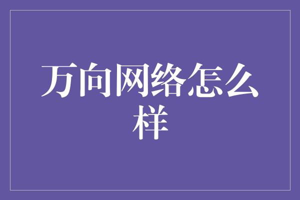 万向网络怎么样