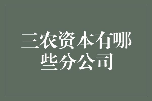 三农资本有哪些分公司