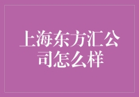 上海东方汇公司：我们可不是东方不败的钱袋子