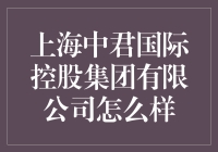 上海中君国际控股集团有限公司：职场探险者的乐园？