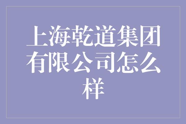 上海乾道集团有限公司怎么样