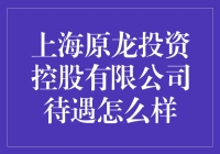 上海原龙投资控股有限公司待遇谜团：是金矿还是陷阱？