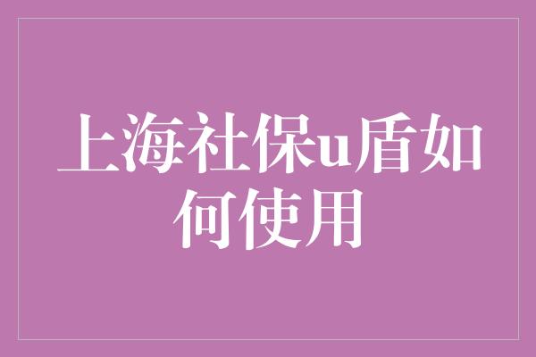 上海社保u盾如何使用