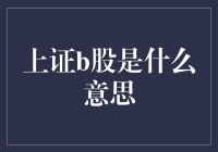 上证B股：连接国内外资本市场的特殊窗口