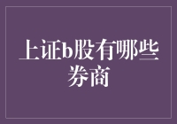 上证B股交易市场的主要券商及其优势分析