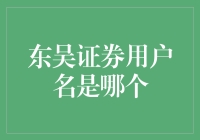 东吴证券的用户名称解析：搭建个人投资账户的数字身份