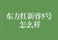 东方红新睿5号：稳健投资策略的典范