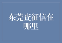 东莞查征信服务指南：全方位解析与便捷途径