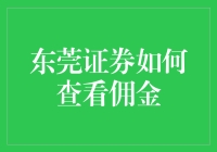 东莞证券：佣金查看攻略，从菜鸟到高手的超实用教程