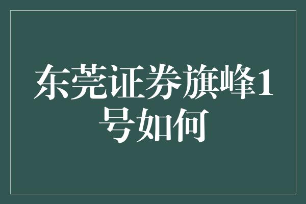 东莞证券旗峰1号如何