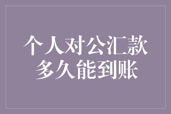 个人对公汇款多久能到账