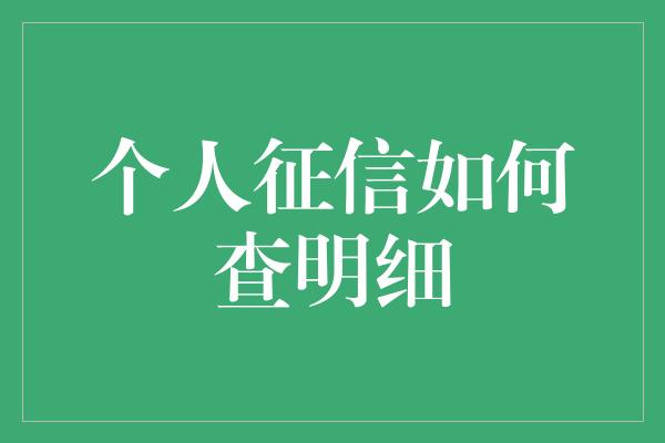 个人征信如何查明细