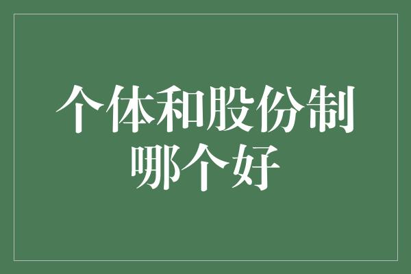 个体和股份制哪个好