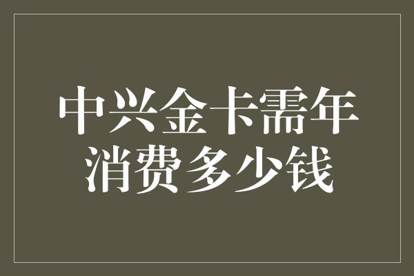 中兴金卡需年消费多少钱