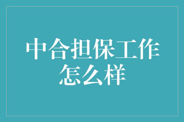 中合担保工作怎么样