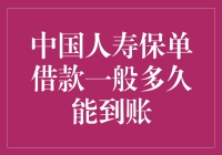 中国人寿保单借款到账时间解析：影响因素与流程优化建议