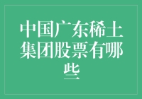 中国广东稀土集团股票：市场潜力与投资策略分析