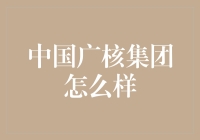 中国广核集团：从核电小白到行业大咖的逆袭之路