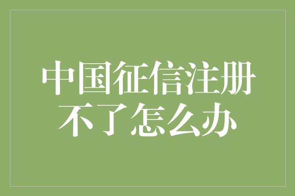 中国征信注册不了怎么办