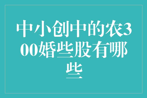 中小创中的农300婚些股有哪些