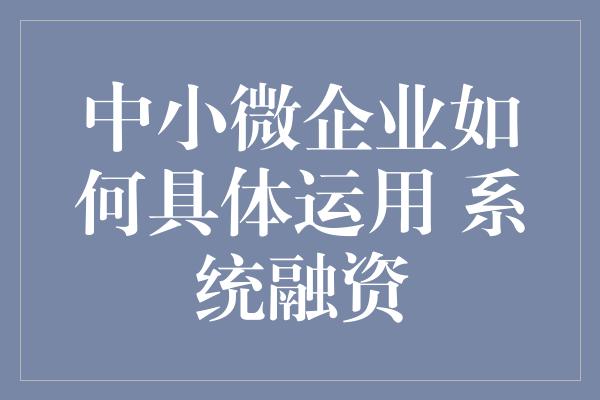 中小微企业如何具体运用 系统融资