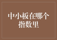 中小板在哪个指数里：解析中小企业的市场定位与指数表现