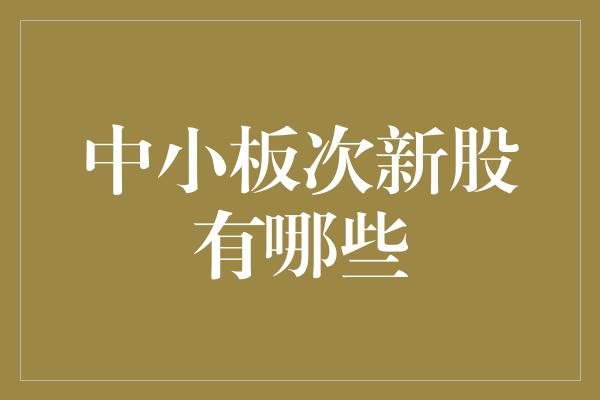 中小板次新股有哪些