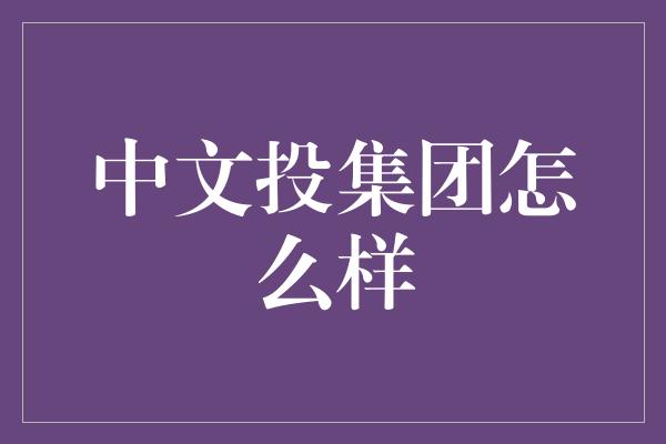 中文投集团怎么样