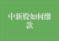 中新股缴款流程解析：新手必读指南