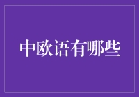 中欧语言的魅力：匈牙利语、捷克语、波兰语与斯洛文尼亚语的多层面对比