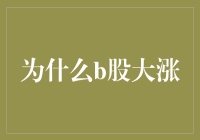 B股市场异动的背后：多重因素驱动的市场表现