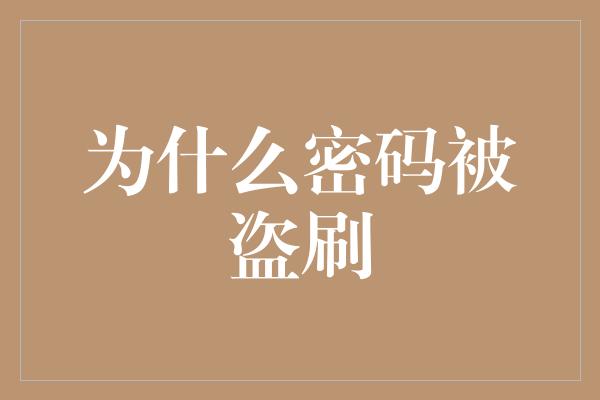 为什么密码被盗刷