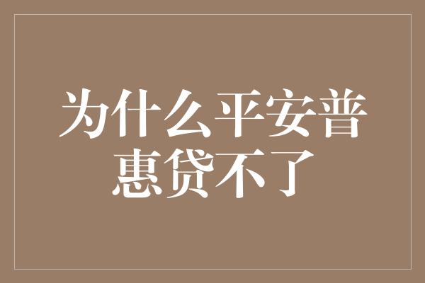 为什么平安普惠贷不了