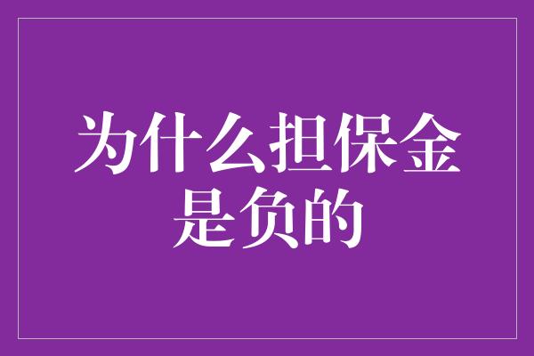 为什么担保金是负的