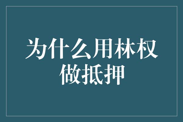 为什么用林权做抵押