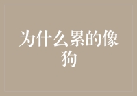 累的像只狗？你可能没有学会狗累技巧