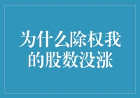 股市新手困惑：除权后股数未涨，真相何在？