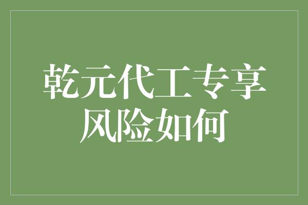 乾元代工专享风险如何