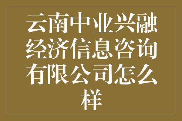 云南中业兴融经济信息咨询有限公司怎么样