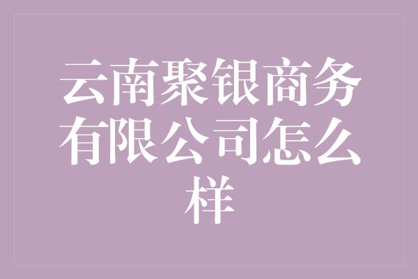 云南聚银商务有限公司怎么样